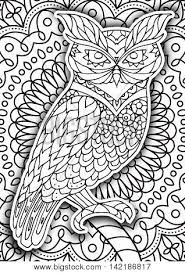 You and your child can color in the owl as you read a fun fact. Printable Coloring Vector Photo Free Trial Bigstock
