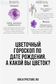 как узнать есть ли магические способности по дате рождения Cvetochnyj Goroskop Po Date Rozhdeniya A Kakoj Vy Cvetok In 2020 Words Word Search Puzzle Dating
