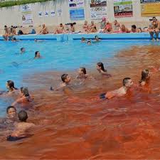 Piscine Du Sport Nautique Bisontin Piscine Besancon 25000 Adresse Horaire Et Avis