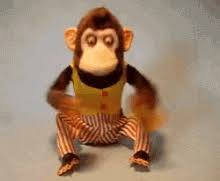 Cute monkey playing percussion hand cymbals. Monkey Cymbals Gifs Tenor