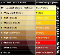 Hair Color Level Chart