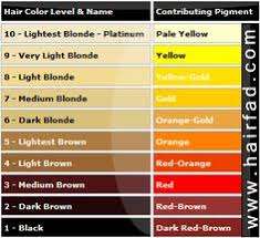 hair color level chart