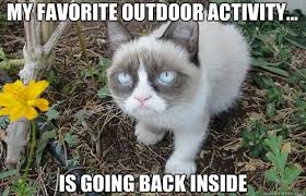 Best grumpy quotes selected by thousands of our users! Grumpy Cat Quotes Seem To Be Everywhere