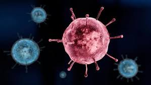 【病毒變種】日本現首例南非變種病毒 境內累計7名變種確診者 【病毒變種】印尼防變種病毒移入 元旦起禁外國旅客入境兩週 今日最夯新聞流量前3名 æ€¥é€Ÿæƒ¡åŒ– å°åº¦è®Šç¨®ç—…æ¯'æ ªä¸–è¡› è‡³å°'å·²åœ¨17åœ‹ç¾è¹¤ åœ‹éš› ä¸‰ç«‹æ–°èžç¶²setn Com