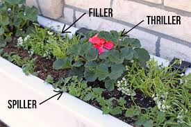 Our vinyl selection offers just as. The Best Flowers For Window Boxes And How To Install A Window Box The Craft Patch