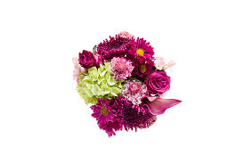 We did not find results for: Schwanke Floral Life In Bloom Jewel Osco