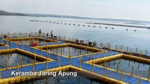 Mengenal Keramba Jaring Apung Dan Cara Pembuatan Youtube