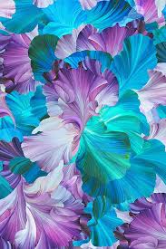 Floral Fantasia Painted Iris Digital Print Fabric Abstract Flowers Flower Wallpaper Art Wallpaper