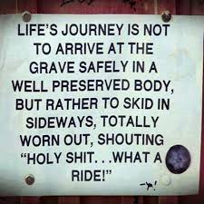 Life Is A Journey Make It A Wild Ride Image Quotes Funny Quotes Cute Quotes