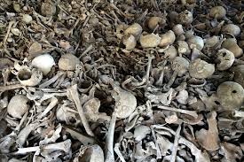 Deutschland will sich offiziell für den völkermord an den herero und nama entschuldigen. Zogerliche Ruckgabe Von Gebeinen An Namibia Hpd