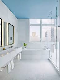 Learn how to paint a bathroom with this instructional step by step guide from bunnings. Ceiling Paint Interior Finishing Design Ideas As Nice Budget Option