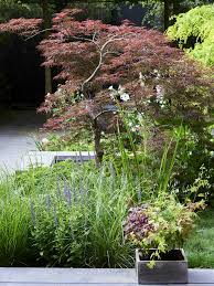 We did not find results for: Japanese Maple The Joy Of Plants