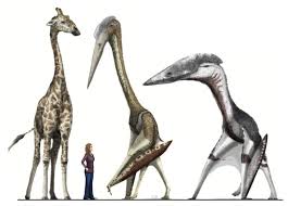 Check spelling or type a new query. Giraffe Sized Flying Reptiles Once Soared Over Alberta Cbc News