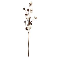 Dried flowers and grasses such as pampas grass, bunny tails, and preserved eucalyptus are enjoyed throughout the year. Artificial Cotton Flowers Artificial Flowers Dried Flowers For Decoration Buy Natural Dry Cotton Art Decoration Kapok Cotton Bundle Home Product On Alibaba Com