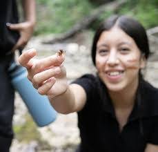 Marion Whelan's Instagram, Twitter & Facebook