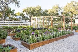 8 Things You Definitely Missed During Last Night S Special Fixer Upper Episode Family Garden Farmhouse Garden Garden Projects