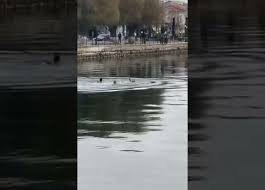 Η έκταση του νησιού είναι 3.654 τ.χλμ. Eyboia Sokarei To Binteo Me Ton Sobaro Traymatismoy Toy 30xronoy Poy Epese Gia Ton Stayro Efhmerida Gnwmh Ypey8ynh Enhmerwsh