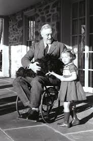 Image result for Physotrichia