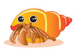 First, draw a pair of round eyes. How To Draw A Hermit Crab 8 Steps With Pictures Wikihow