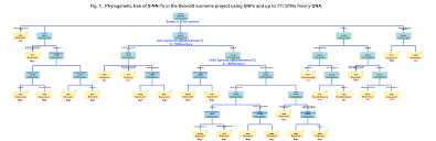 Though many dutch names have a significant origin, others translate to rather hilarious terms. Sennettfamilytree Discovering Our Sinnott Sennett Synnott Sinnett Sennitt Ancestors