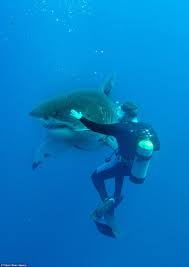 Pin On Under The Sea