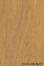 Image result for Parinari excelsa