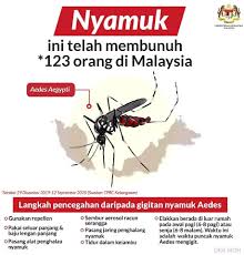 Maka tiada peluang nyamuk aedes membiak. Tiadaaedestiadadenggi Squad Patrol Denggi Sk Gali Facebook