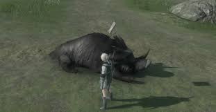 No matter your outdoor passion, we've got what you're looking for. Nier Replicant Guide Boar Hunt Quest And Fast Travel Walkthrough Polygon