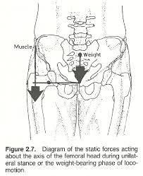 Well establish solid knowledge basis for static timing analysis. Chapter 2 Mechanical Concepts And Terms