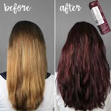 Loreal semi permanent hair color chart. Ion Burgundy Brown Semi Permanent Novocom Top