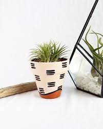 Pin On Pot