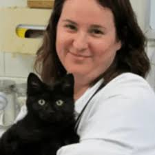 Experienced Veterinarians in Bloomington, Illinois