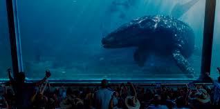 These pictures take you back in time to when dinosaurs strolled the earth. Jurassic World Coloring Pages Mosasaurus