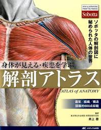 身体が見える 疾患を学ぶ解剖アトラス ソボッタの解剖図に秘められた人体の世界 人体 美術解剖学 筋肉解剖学