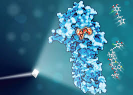 Image result for Cefiderocol