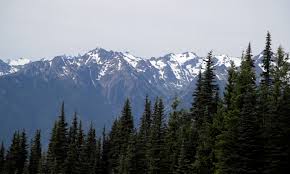 Human remains found at Olympic National Park 26 years ago have finally been identified