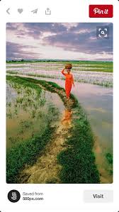 There are a lot more genius things that can be set. 13 Natural Beauty Of Bangladesh Hd Wallpaper Venera Wallpaper