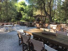 Jun 26, 2016 · για τον κύριο ιησού χριστό, την ορθόδοξη εκκλησία, και την υπεραγία θεοτόκο. E3odos Poy Na Pieite Kafe Mesa Sth Fysh Sthn A8hna