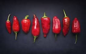 Information on this site is for informational purposes only. 11 Things Every Woman Needs To Know About Hemorrhoids Prevention