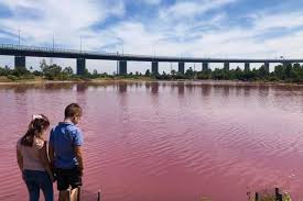 It's very different from the familiar landscape i see from the windows at home. Why Does Melbourne S Westgate Park Salt Lake Turn Pink Abc News