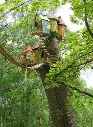 Orties Et Coquelicots Les Cabanes Belles Cabanes Maison Dans Les Arbres Maisons Insolites