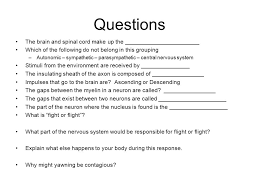 The brain and the spinal cord constitute the central nervous system. Spinal Cord 2 Peripheral Nervous System Brain Ppt Video Online Download