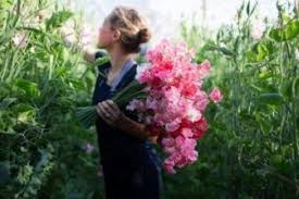 If the new parents aren't having a gender reveal until later or at all, just be sure to stay away from the pink and blue. 101 Sweetest New Month Wishes July 2021 Flashlearners