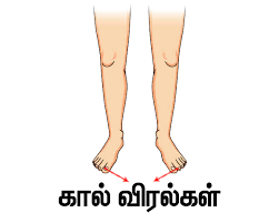 We focused on the main used ones. à®‰à®Ÿà®² à®© à®ª à®•à®™ à®•à®³ Parts Of The Body Tamil Pronunciation World Tamil Academy à®‰à®²à®•à®¤ à®¤à®® à®´ à®• à®•à®² à®µ à®• à®•à®´à®•à®® Online Tamil Language Classes Spoken Tamil For Kids Tamil Lessons