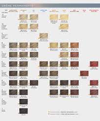 Clairol Professional Hair Color Chart Er Sa Kjent Men Hvorfor Clairol Professional Hair Colo Clairol Hair Color Chart Clairol Hair Color Jazzing Hair Color