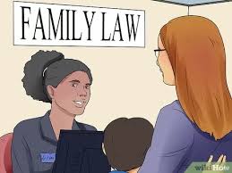 Majors to become a lawyer. How To Become An Adoption Lawyer With Pictures Wikihow