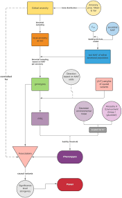 Cowboy 62, is a country singer from western samoa. Frontiers Admixed Populations Improve Power For Variant Discovery And Portability In Genome Wide Association Studies Genetics