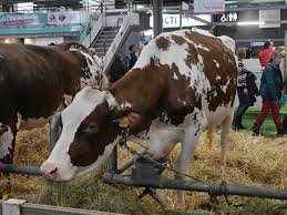 Economique, pratique et confortable, venir au avec plus de 400 villes reliées à paris en france et en europe, toutes les régions présentes au salon de l'agriculture 2020 sont accessibles au travers du. Salon International De L Agriculture 22 Februar 1 Marz 2020 Das Frankreich Blog Relations Franco Allemandes Deutsch Franzosische Beziehungen France Blog Literatur Geschichte Politik