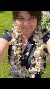 Excited to use these fresh cloves in some delicious recipes!