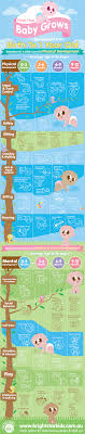 here is fun and interesting infographic about baby